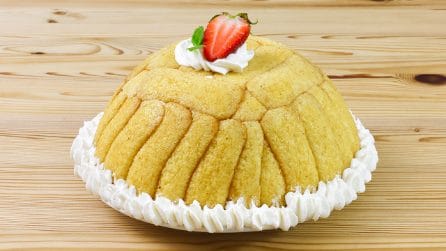 ZUCCOTTO ALLE FRAGOLE: fresco, goloso e senza cottura!