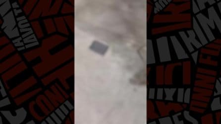 Napoli, armato di spranga semina il panico ai Colli Aminei, ferito un anziano