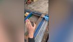 Trasporta dalla Spagna a Savona 170 kg di hashish nascosti tra i giocattoli: arrestato un camionista 57enne