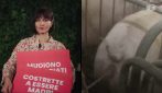 chiara pavan-gabbie vuote-orrizzontale-essere animali