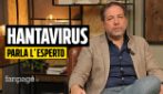 "Non è una pandemia": l'infettivologo del Cotugno spiega l'Hantavirus