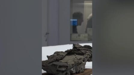 Scavi di Pompei, scoperta l'identità di una vittima dell'eruzione: era un medico