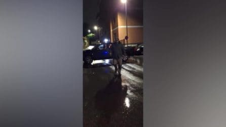 Cinghiale intrappolato nell'intercapedine rischia di entrare in casa per raggiungere i cuccioli