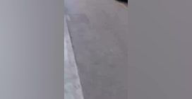 L'aggressore fermato a Modena da Luca Signorelli e da altri cittadini egiziani