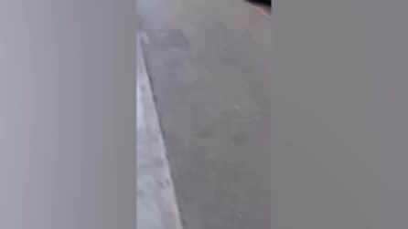 L'aggressore fermato a Modena da Luca Signorelli e da altri cittadini egiziani