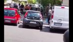 Cinghiale si aggira per le vie di prati, gli agenti della Polizia Locale lo inseguono a Roma