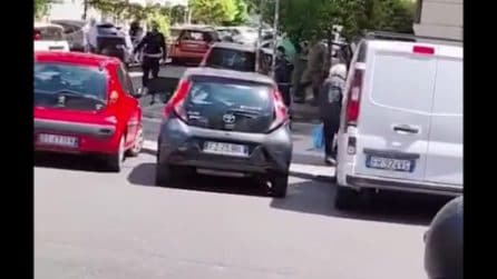 Cinghiale si aggira per le vie di prati, gli agenti della Polizia Locale lo inseguono a Roma