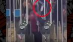 Scende dal treno in Centrale e forza i tornelli brandendo un machete, 30enne in carcere: il video