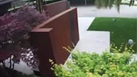 Auto esce di strada e finisce nel ristorante stellato ad Arco, il video dell'incidente