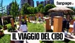 Ogni piatto ha una storia: il progetto ReNest – Dalle radici al futuro. Un viaggio dentro al cibo, per conoscere quello che c'è dietro ciò che mangiamo