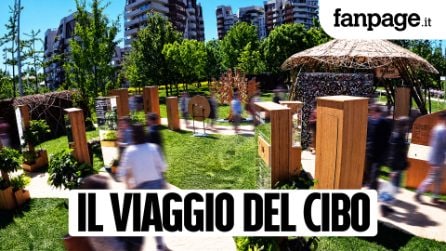 Ogni piatto ha una storia: il progetto ReNest – Dalle radici al futuro. Un viaggio dentro al cibo, per conoscere quello che c'è dietro ciò che mangiamo