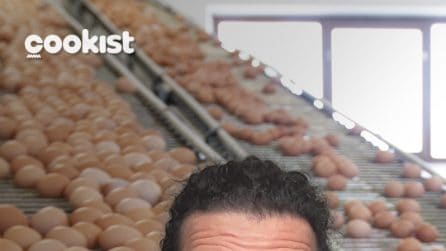 Ovoprodotti: cosa c’è davvero dentro biscotti e merendine?