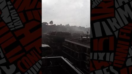 Tromba d'Aria colpisce Roma, alberi caduti e vetri in frantumi: bloccata via dei Prati Fiscali
