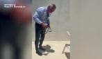 Robert F. Kennedy Jr. e i serpenti