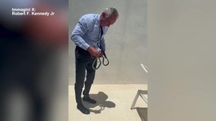 Robert F. Kennedy Jr. e i serpenti