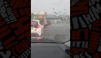 Maltempo a Roma e nel Lazio: forte vento e temporali abbattono alberi, strade allagate