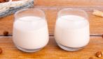 LATTE DI NOCCIOLE FATTO IN CASA: dall’aroma inconfondibile!