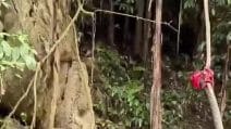 Laos, dieci giorni nel buio: salvati 5 minatori intrappolati in una grotta allagata