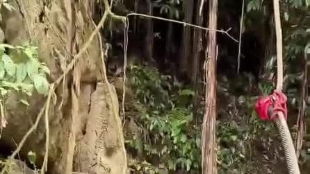 Laos, dieci giorni nel buio: salvati 5 minatori intrappolati in una grotta allagata