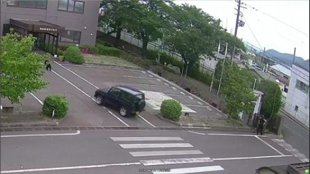 Attacco orso in Giappone: ferite 4 persone