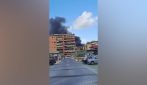 Incendio al Tuscolano, va a fuoco un vivaio: nube di fumo visibile in tutta Roma