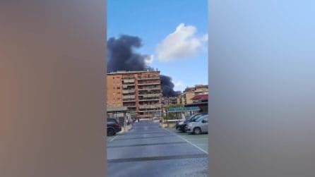 Incendio al Tuscolano, va a fuoco un vivaio: nube di fumo visibile in tutta Roma
