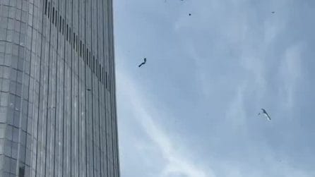 Pechino, piccolo aereo si schianta contro la Citic Tower: edificio evacuato, il video
