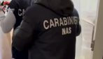 Blatte, insetti e muffa in cucina: sospesi ristoranti e bar a Salerno, sequestrati 300 chili di cibo