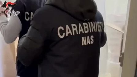 Blatte, insetti e muffa in cucina: sospesi ristoranti e bar a Salerno, sequestrati 300 chili di cibo