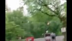New York, turista di 18 anni muore a Central Park dopo l'incidente di una carrozza trainata da cavalli