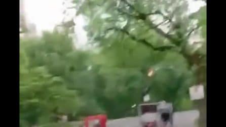 New York, turista di 18 anni muore a Central Park dopo l'incidente di una carrozza trainata da cavalli