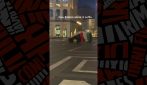 Si lancia di notte dal Duomo di Milano con il paracadute color bandiera della Palestina