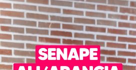 Senape e arancia