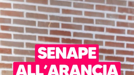 Senape e arancia