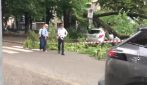 Ancora temporali a Milano, 240 interventi dei vigili del fuoco: alberi caduti su auto e binari