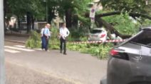 Ancora temporali a Milano, 240 interventi dei vigili del fuoco: alberi caduti su auto e binari