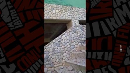 In Venezuela è incubo sciacalli dopo il terremoto: fermati anche 4 poliziotti