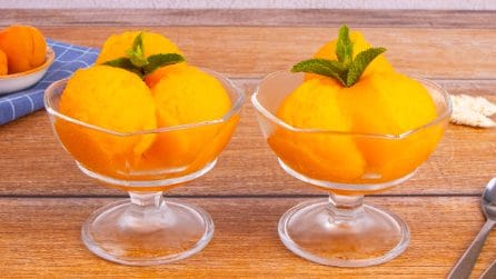 APRICOT GRANITA: just a few ingredients for a refreshing dessert!