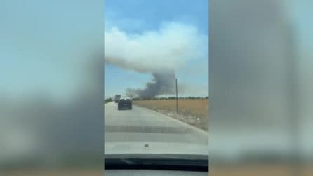 Incendio a Foggia, fiamme a Sud di Manfredonia nei pressi dell'Oasi Lago Salso