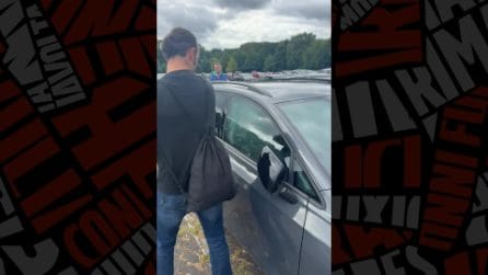 Il salvataggio del cane lasciato in auto al sole