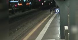 Gianluca Ibarra ucciso a Milano Certosa, arrestati altri 6 membri della Latin King per omicidio