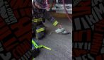 Piccione rianimato con maschera ossigeno