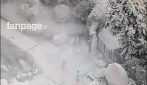 Terremoto Campi Flegrei, il video dei danni