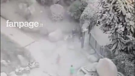 Terremoto Campi Flegrei, il video dei danni