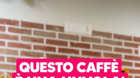 CLOUD COFFEE: il caffè FRESCHISSIMO con una CREMA irresistibile!
