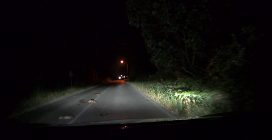 Famiglia di tre tassi investita e uccisa al Parco del Circeo: le immagini della dashcam
