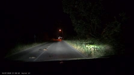 Famiglia di tre tassi investita e uccisa al Parco del Circeo: le immagini della dashcam