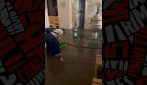 Maltempo Umbria, basilica allagata a Foligno: fedeli e parroco la svuotano coi secchi