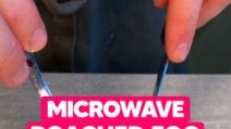 MICROWAVE POACHED EGG: it'll be PERFECT and ready in 2 MINUTES!