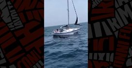 Orche interagiscono con barche a vela in Galizia